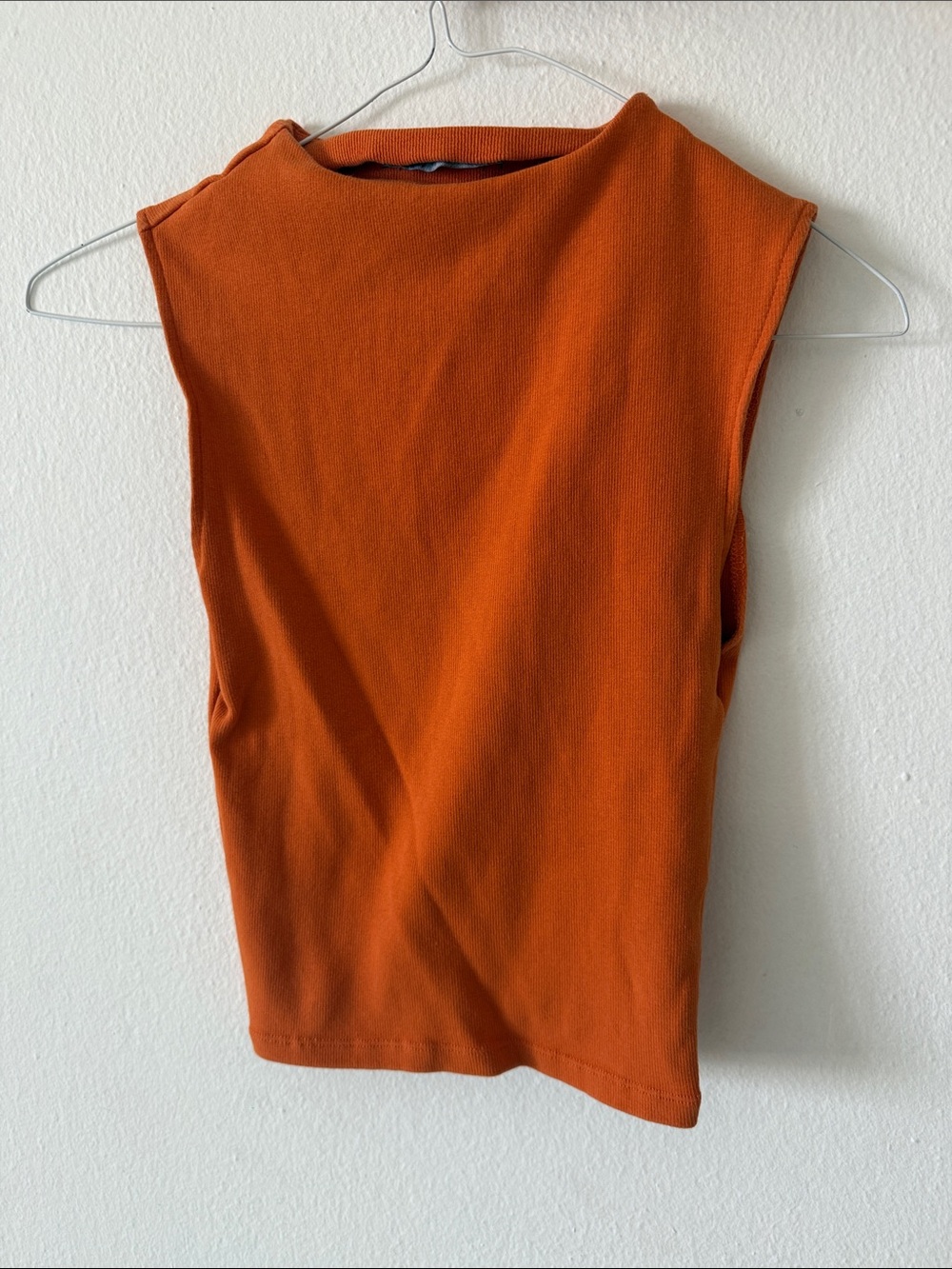 Zara Sleeveless Mock Neck Tank in Rust